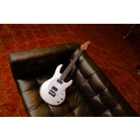 STERLING BY MUSIC MAN StingRay 2 Silver - Vue 5